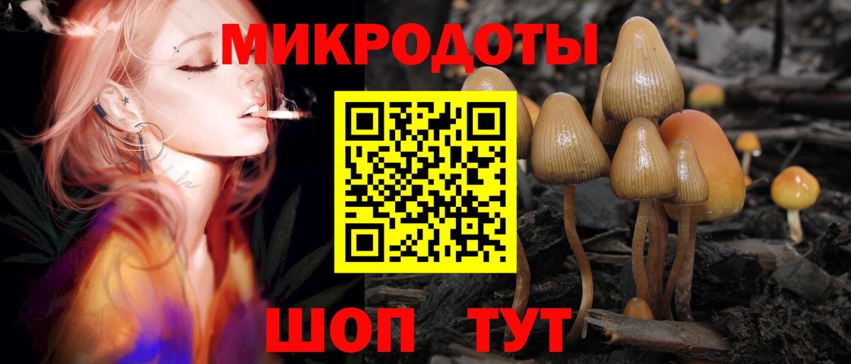 Губкин  Псилоцибиновые грибы GOLDEN TEACHER  Псилоцибиновые грибы ЛСД  Вход с VPN 